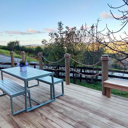 Secluded, Private Rural Retreat Mins From Warkworth -"Avondale" Minihouse别墅 外观 照片